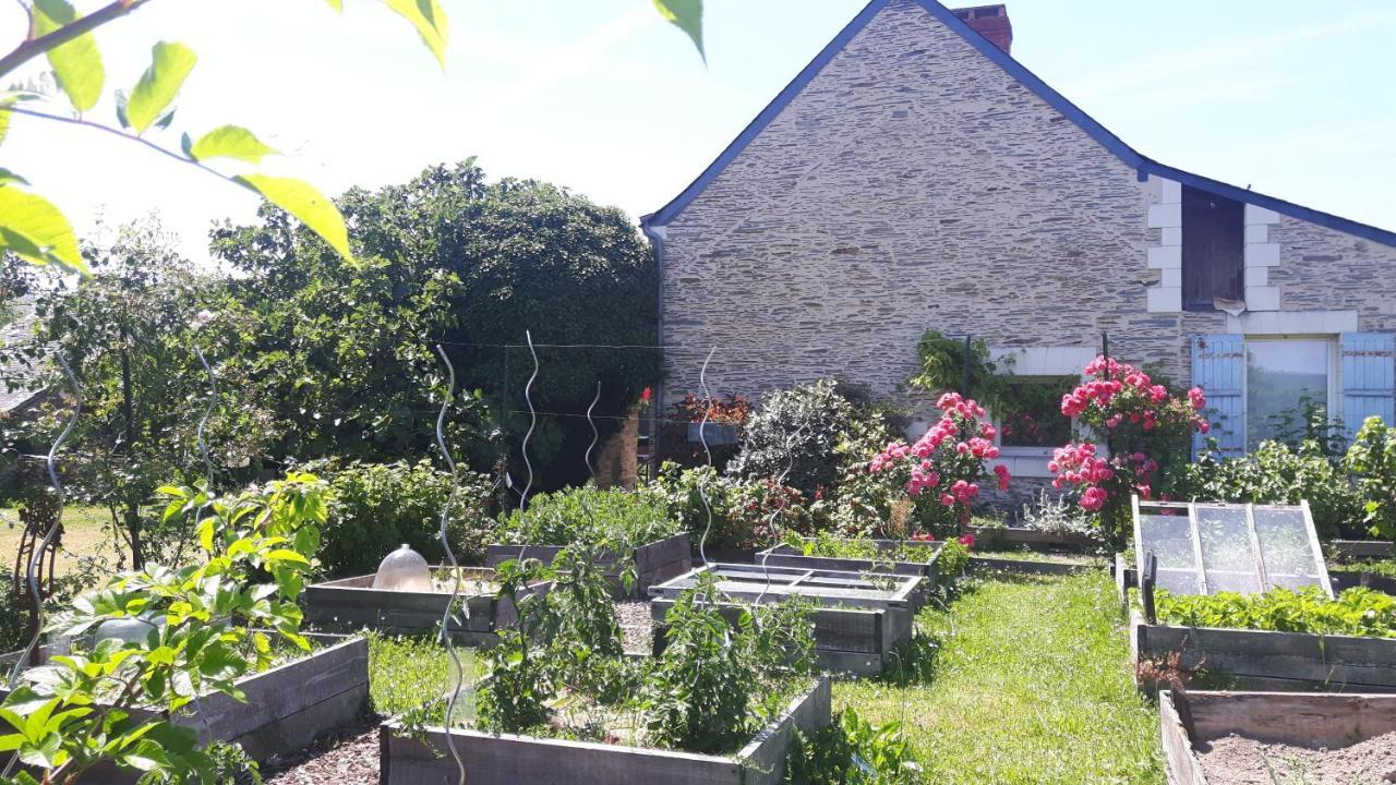 Bed and Breakfast la noue aubert à Juigne-sur-Loire Extérieur photo
